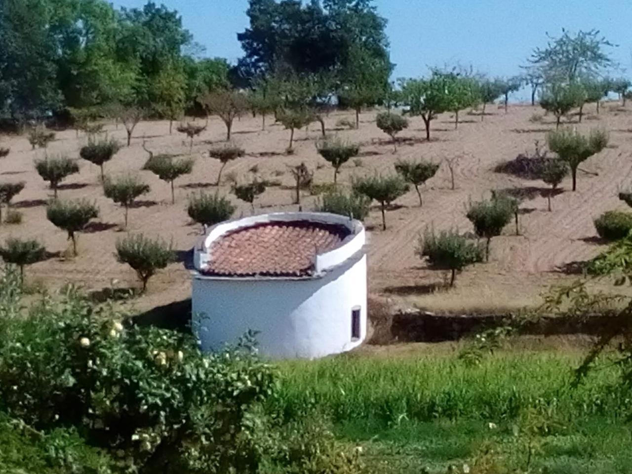 فيلا Casa Dos Pombais De Cacarelhos Rural المظهر الخارجي الصورة